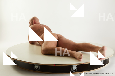 laying reference neeo 03