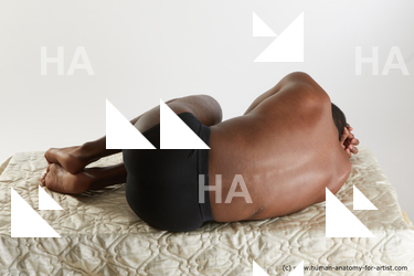 laying reference kavan 03