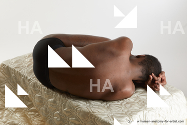 laying reference kavan 04