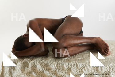 laying reference kavan 07