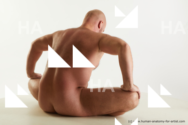 Nude Man White Sitting poses - simple Bald Sitting poses - ALL Standard Photoshoot Chubby Realistic