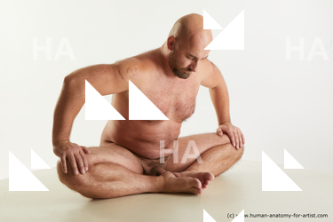 sitting reference neeo 08