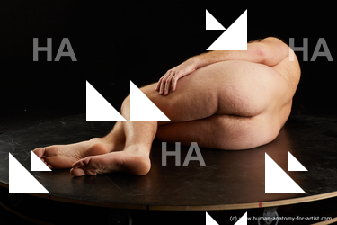 Nude Man White Laying poses - ALL Average Short Brown Laying poses - on side Standard Photoshoot Realistic