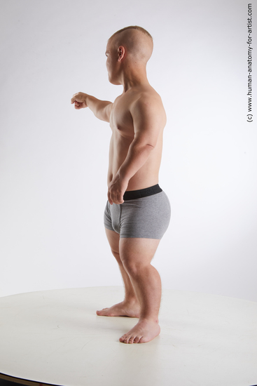 Underwear Man White Standing poses - ALL Average Short Brown Standing poses - simple Standard Photoshoot Academic