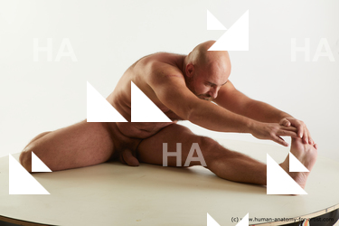 sitting reference neeo 08