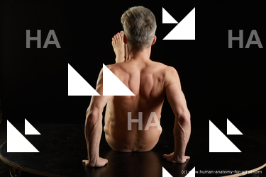 sitting reference lutro 04