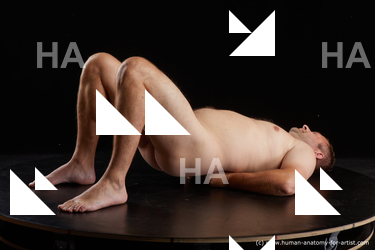 laying reference louis 04