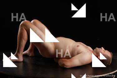 laying reference louis 05