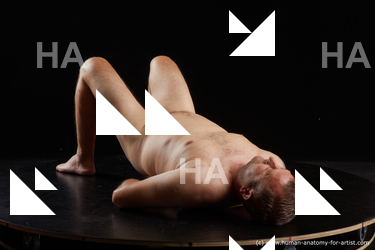 laying reference louis 06