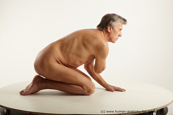 Nude Man Kneeling poses - ALL Short Grey Kneeling poses - on both knees Standard Photoshoot Chubby Realistic