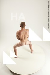 rex standing 01s 08a