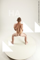 rex standing 01s 09a