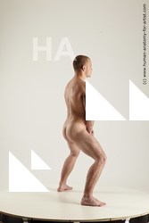 rex standing 01s 12b