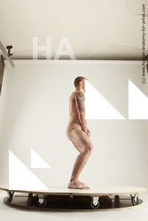 rex standing 01s 13c