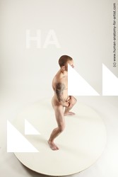 rex standing 01s 14a