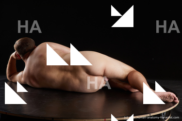 Nude Man White Laying poses - ALL Short Brown Laying poses - on side Standard Photoshoot Chubby Realistic