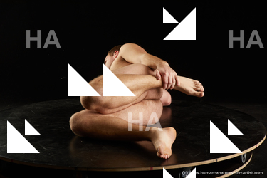 Nude Man White Laying poses - ALL Slim Short Brown Laying poses - on side Standard Photoshoot Realistic