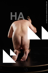 Nude Man White Kneeling poses - ALL Short Brown Kneeling poses - on both knees Standard Photoshoot Chubby Realistic