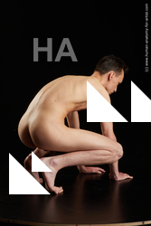 Nude Man White Kneeling poses - ALL Athletic Short Brown Kneeling poses - on both knees Standard Photoshoot Realistic