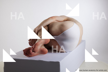 lying reference tony 03