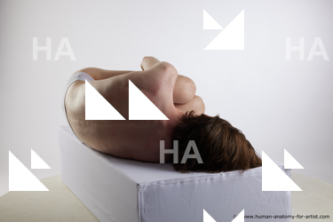 lying reference tony 06