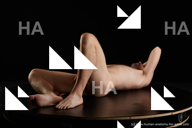Nude Man White Laying poses - ALL Slim Short Brown Laying poses - on back Standard Photoshoot Realistic