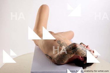 lying reference dash 07