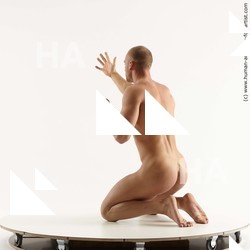 Nude Man White Kneeling poses - ALL Slim Short Brown Kneeling poses - on both knees Standard Photoshoot Realistic