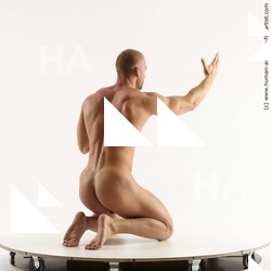 Nude Man White Kneeling poses - ALL Slim Short Brown Kneeling poses - on both knees Standard Photoshoot Realistic