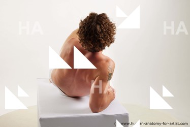 lying reference lyle 07