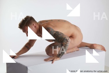 Nude Man White Kneeling poses - ALL Muscular Short Brown Kneeling poses - on both knees Standard Photoshoot Realistic