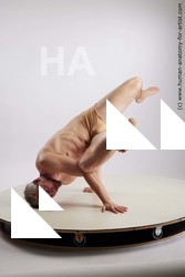 lying reference chase 01