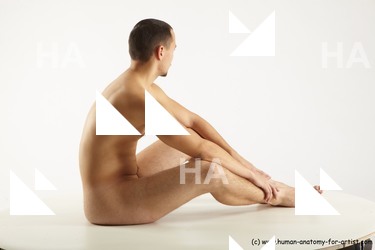 Nude Man White Sitting poses - simple Slim Short Brown Sitting poses - ALL Standard Photoshoot Realistic