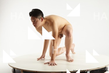 Nude Man Asian Kneeling poses - ALL Slim Short Kneeling poses - on one knee Black Standard Photoshoot Realistic