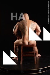 Nude Man White Sitting poses - simple Muscular Short Brown Sitting poses - ALL Standard Photoshoot Realistic