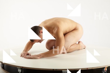 kneeling reference prokop 08