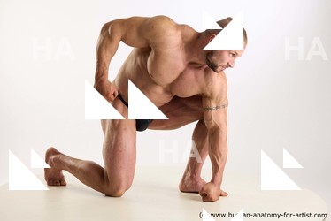 Swimsuit Man White Kneeling poses - ALL Muscular Short Brown Kneeling poses - on one knee Standard Photoshoot Academic