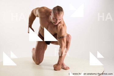 Swimsuit Man White Kneeling poses - ALL Muscular Short Brown Kneeling poses - on one knee Standard Photoshoot Academic