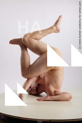 lying reference chase 02