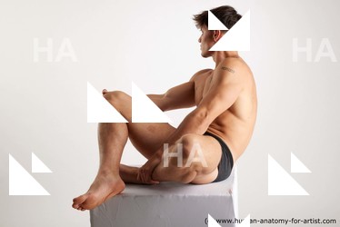 sitting reference darren 04