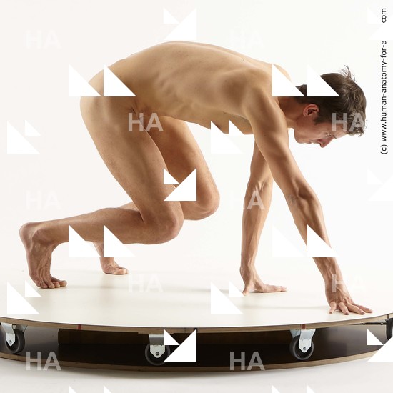 Nude Man White Kneeling poses - ALL Athletic Short Brown Kneeling poses - on both knees Standard Photoshoot Realistic