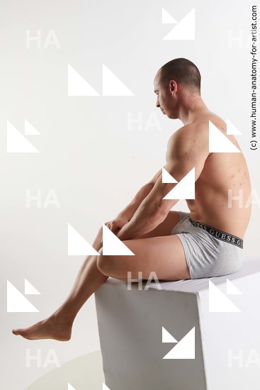 Underwear Man White Sitting poses - simple Muscular Short Brown Sitting poses - ALL Standard Photoshoot Academic