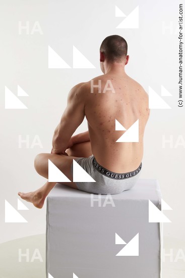 Underwear Man White Sitting poses - simple Muscular Short Brown Sitting poses - ALL Standard Photoshoot Academic