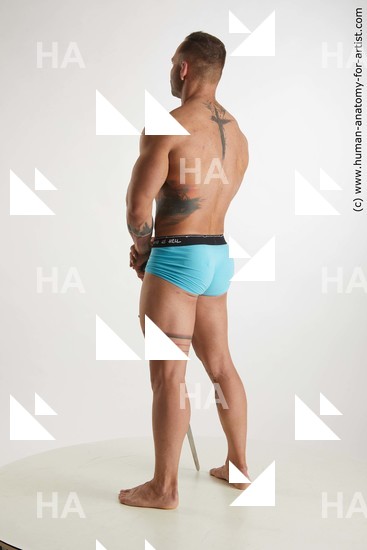 Underwear Man White Standing poses - ALL Muscular Short Brown Standing poses - simple Standard Photoshoot Academic