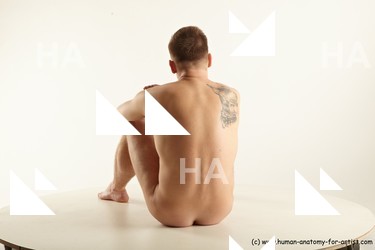 Nude Man White Sitting poses - simple Slim Short Brown Sitting poses - ALL Standard Photoshoot Realistic