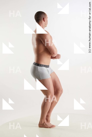 Underwear Man White Standing poses - ALL Muscular Short Brown Standing poses - simple Standard Photoshoot Academic