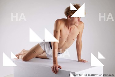 lying reference urien 01