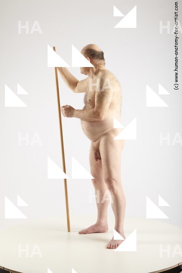 standing reference vratislav