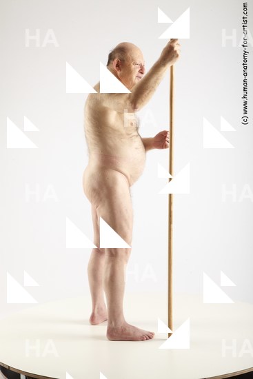 standing reference vratislav