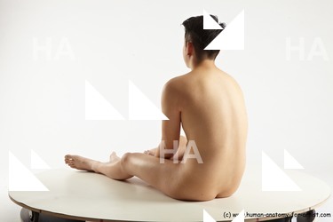 sitting reference wade 04